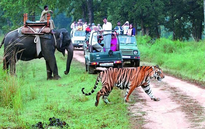 jim corbett tour 1