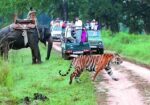 jim-corbett-tour-1