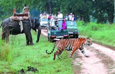 jim-corbett-tour-1
